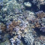 Photo taken by Dixie W