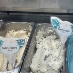 Photo taken by Sangeetha R