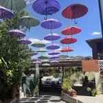 Photo taken by Donna F