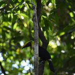 Photo taken by William R