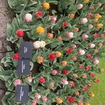 Photo taken by Paul H