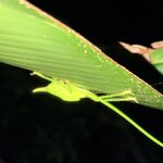 Photo taken by Mary D