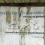 Photo taken by Michael L