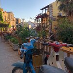 Photo taken by Nisah M