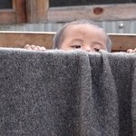 Photo taken by Graham W