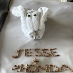 Photo taken by rhonda c