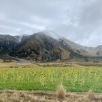 Photo taken by Jessica V