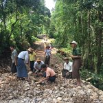 No machinery in these hills. Hands on by all b | Photo taken by Rachael W