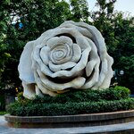 Photo taken by E.J. B