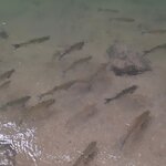 Photo taken by Jennifer G