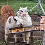 Photo taken by Jayme B