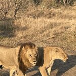 Photo taken by Joanne B