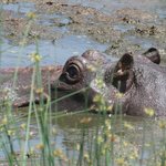 Photo taken by Kristin M