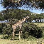 Photo taken by Virginia H