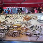 Photo taken by Paul M