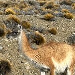 Photo taken by SUSAN L