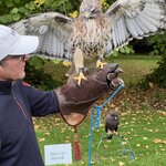 Photo taken by Harry S