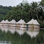 View from the River of 4 Rivers Floating Lodge | Photo taken by Bharat P