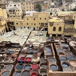 Photo taken by Zhou Z