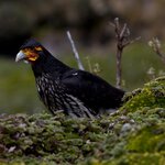 Photo taken by Sabine V