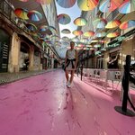 Photo taken by Julie G