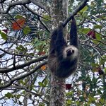 Photo taken by Susan O