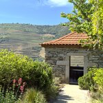 Photo taken by Vivian W