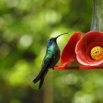 Photo taken by Mary D