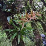 Photo taken by Victoria E