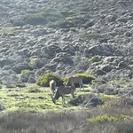 Photo taken by Joanne B