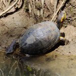 Photo taken by Mordechay T