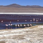 Photo taken by Shirley S