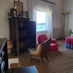 Photo taken by Bailey W