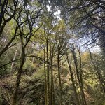 Photo taken by Ellen D