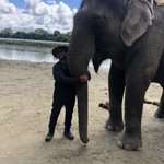 Andrew hugging an elephant  | Photo taken by Gerald S