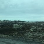 Photo taken by Grace V