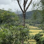 Photo taken by Paulette D