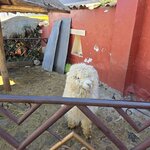 Photo taken by Arun A