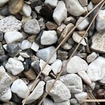 Photo taken by Amanda F