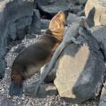 Photo taken by Mark A