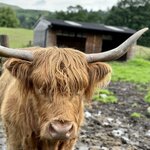 Photo taken by Larry B