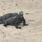 Photo taken by Thomas L