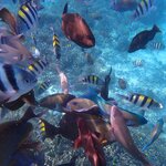 Photo taken by Dixie W