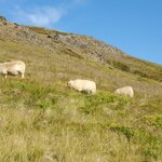 Photo taken by Christina L