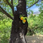 Photo taken by Lana P