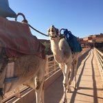 Photo taken by Hilda S