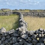 Photo taken by Drew M