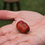 Photo taken by Erika P