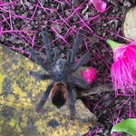 Amazon adveture! | Photo taken by Lydia E