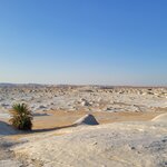 Photo taken by Kim M